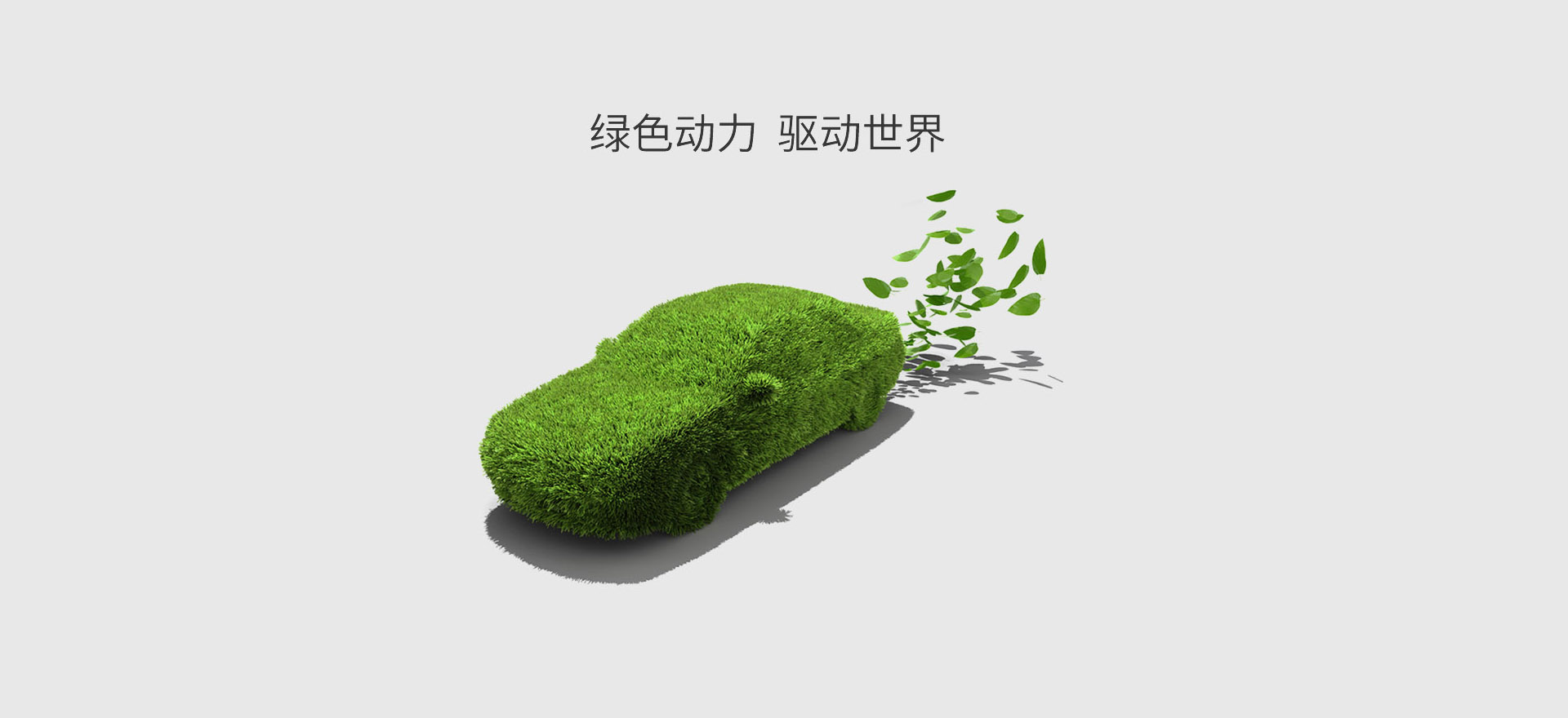 电动三轮车电池